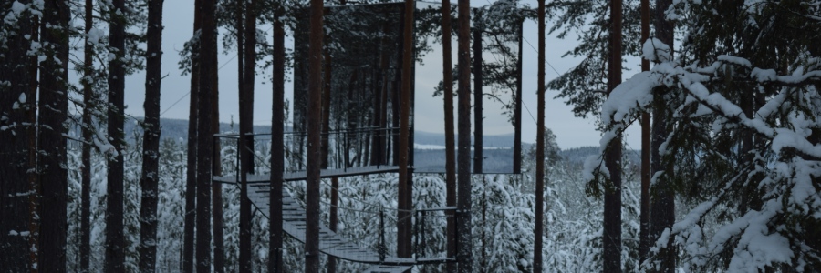 Mirrorcube_TreeHotel_Sweden